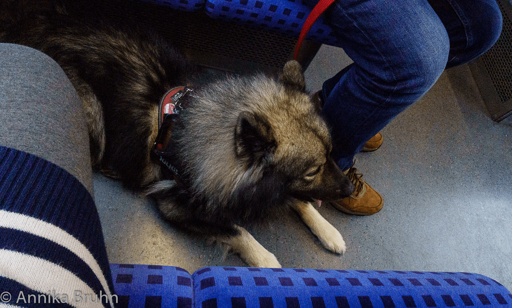 S-Bahn fahren